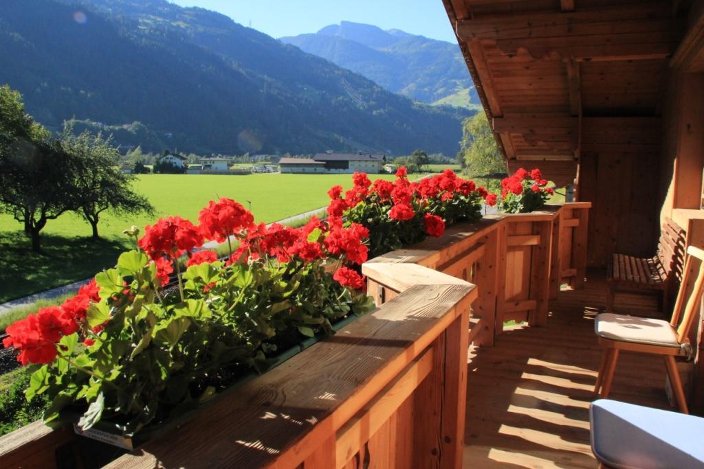 Apartmán Apart Eberharter Aschau Im Zillertal Exteriér fotografie